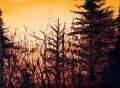 <br>Subject title: Forest<br/>Status: Available<br>