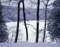 <br>Subject title: Crawford Lake <br/>Status: Available<br>