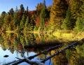 <br>Subject title: Peck Lake Reflection<br/>Status: Available<br>