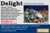 Delight 2010